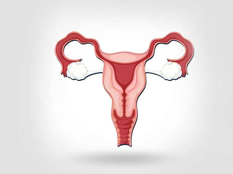 You are currently viewing Endometrial Hyperplasia