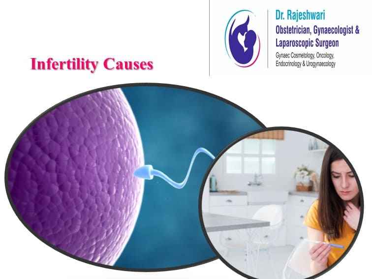 You are currently viewing Causes of Infertility in Women